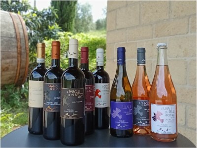 Holiday apartment "Platane" im Bio-Weingut - Document photo 31