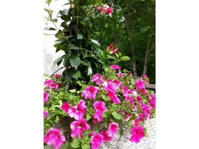 Apartment Spiegelsee - Outdoor photo 17