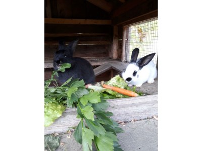 Apartment Spiegelsee - Outdoor photo 20