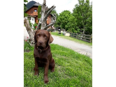 Apartment Spiegelsee - Outdoor photo 21