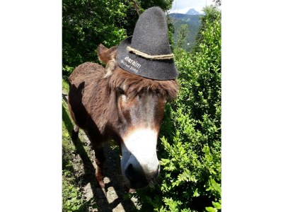 Apartment Spiegelsee - Outdoor photo 22