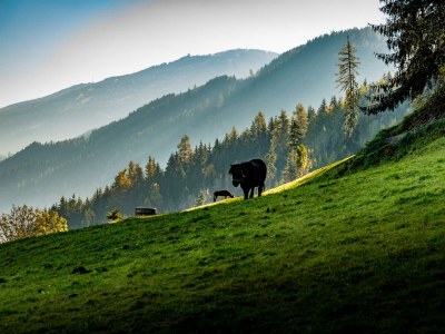 Apartment Spiegelsee - Outdoor photo 23