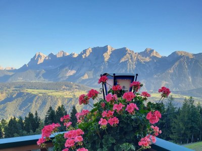 Holiday room Panorama-Doppelbettzimmer Türlspitz - Outdoor photo 59