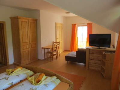 Holiday room Panorama-Doppelbettzimmer Türlspitz - Features photo 70