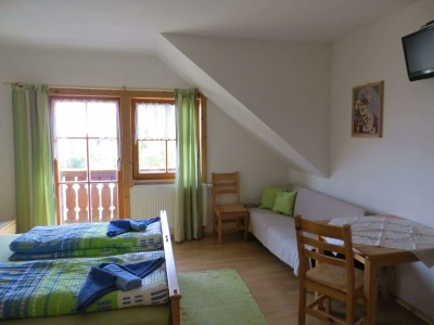 Apartment Panorama-Dachstudio Hochkönig - Outdoor photo 36