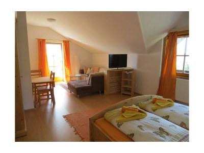 Apartment Panorama-Dachstudio Hochkönig - Features photo 64