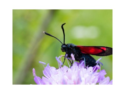 Apartment Apartment/2 Schlafraum/Bad, WC ab 4 Nächte HP - Outdoor photo 56