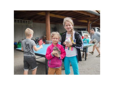 Holiday room Doppelzimmer+Zusatzb. DU, Balkon,WC ab 4 Nächte HP - Outdoor photo 18