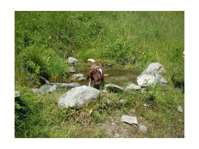 Holiday room Doppelzimmer+Zusatzb. DU, Balkon,WC ab 4 Nächte HP - Outdoor photo 23