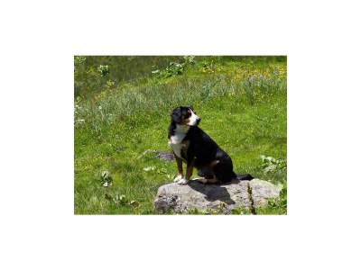 Holiday room Doppelzimmer+Zusatzb. DU, Balkon,WC ab 4 Nächte HP - Outdoor photo 25