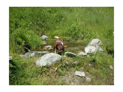 Holiday room Doppelzimmer Basic, ab 4 Nächte HP - Outdoor photo 23