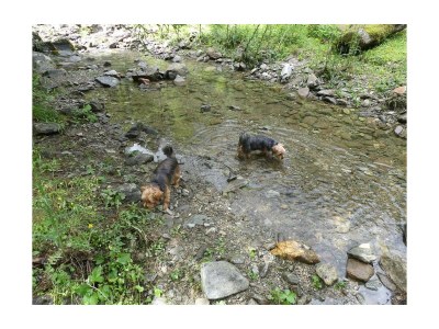 Holiday room Doppelzimmer Basic, ab 4 Nächte HP - Outdoor photo 46