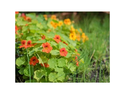 Holiday room Doppelzimmer Basic, ab 4 Nächte HP - Outdoor photo 59