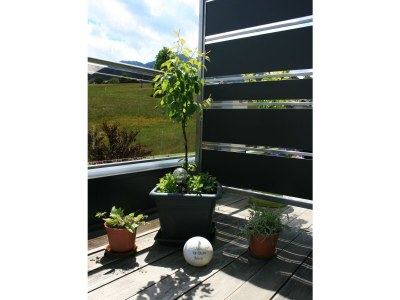 Apartment Apartment Blumenwiese/1 Schlafraum/Dusche, WC - Features photo 35