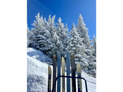 Apartment Walzer FS Top11 - Outdoor photo 16