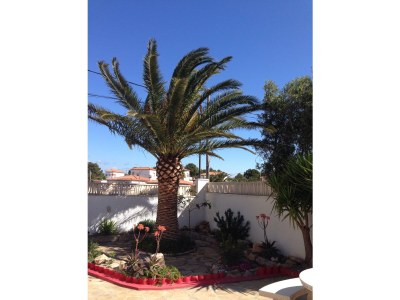 Villa Widmann with own swimming pool - Outdoor photo 7