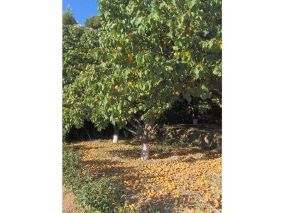 Holiday house Holidayhouse with garden - Environment photo 17