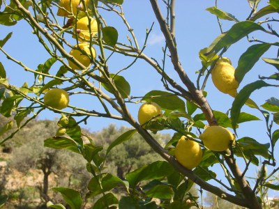 Holiday house Holidayhouse with garden - Environment photo 18