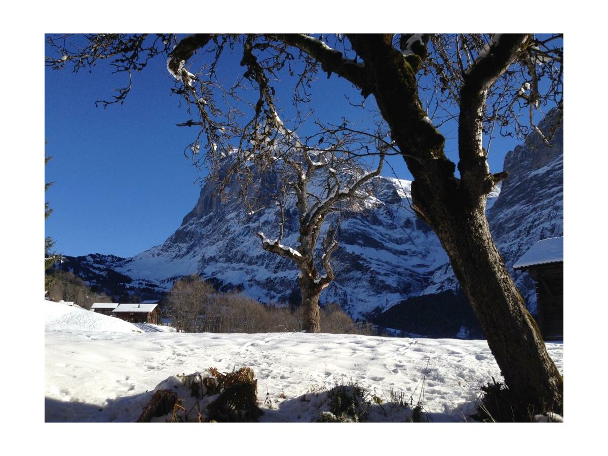 Holiday apartment Garbani in Grindelwald - Outdoor photo 4