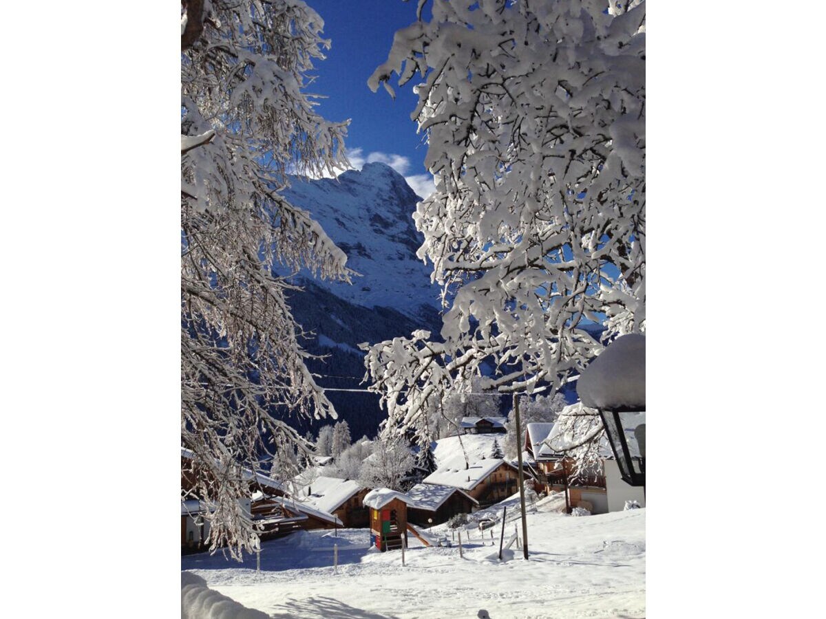 Holiday apartment Garbani in Grindelwald - Outdoor photo 5