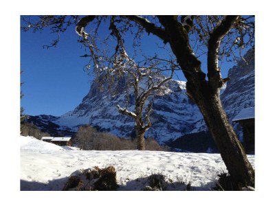 Holiday apartment Garbani in Grindelwald - Outdoor photo 4