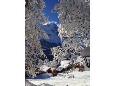 Holiday apartment Garbani in Grindelwald - Outdoor photo 5