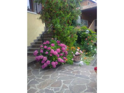 Holiday apartment Villa Stellina - Outdoor photo 7