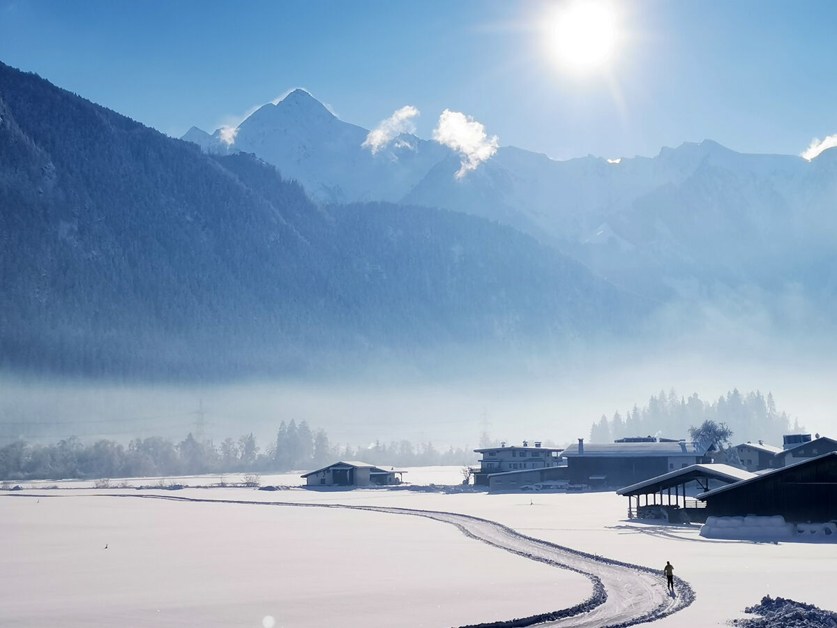 Holiday apartment Forget-me-not - Outdoor photo 4