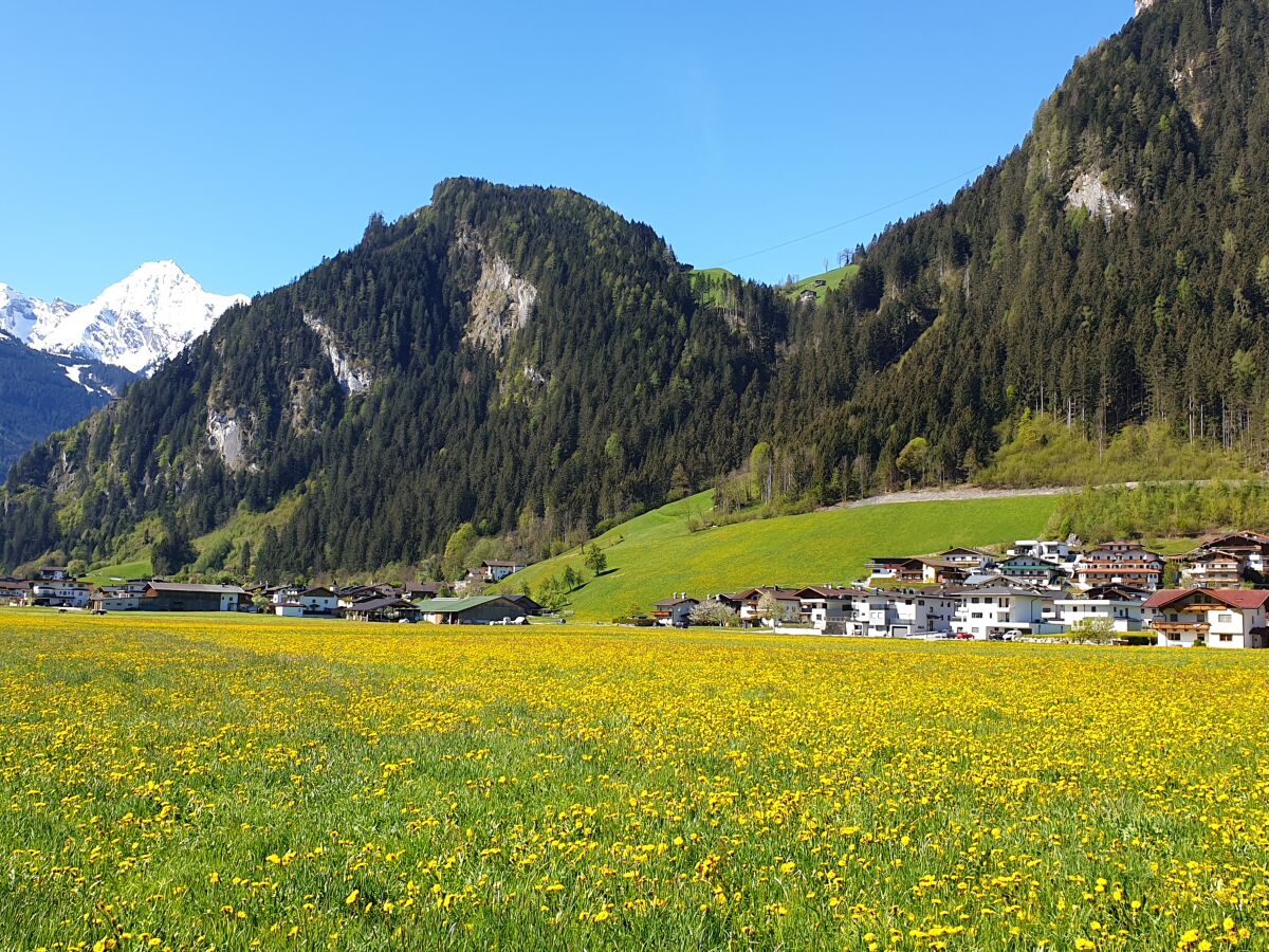 Holiday apartment Forget-me-not - Outdoor photo 5