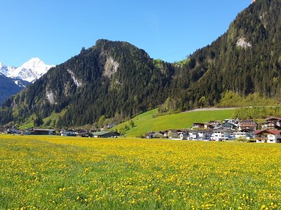 Holiday apartment Forget-me-not - Outdoor photo 5