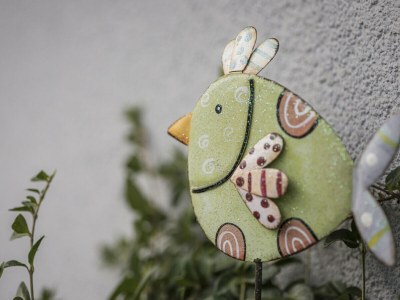 Holiday apartment Forget-me-not - Outdoor photo 8