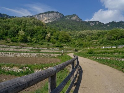 Holiday apartment Casa Campedello - Environment photo 27