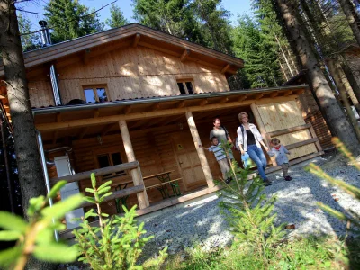 Holiday house Cottage Holidays Hirschalmdorf in Unterweißenbach - Holiday house