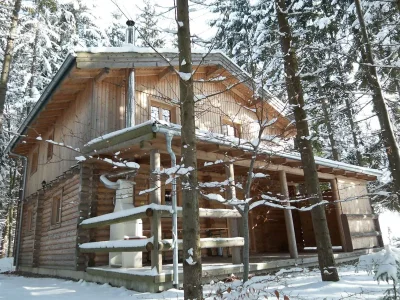 Holiday house Cottage Holidays Hirschalmdorf - Outdoor photo 2