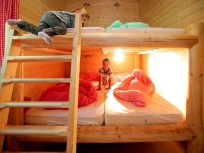 Holiday house Cottage Holidays Hirschalmdorf - Features photo 12