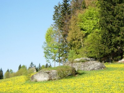 Holiday house Cottage Holidays Hirschalmdorf - Environment photo 13