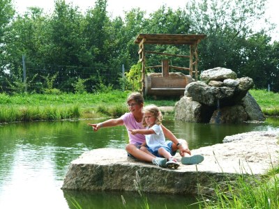 Holiday house Cottage Holidays Hirschalmdorf - Environment photo 16