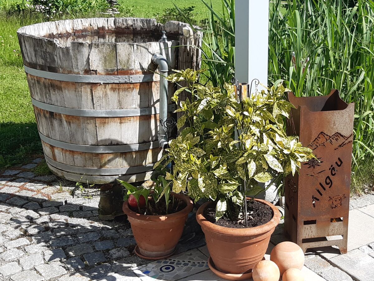 Holiday apartment Birke - Outdoor photo 5