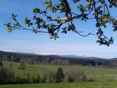 Holiday apartment Birke - Outdoor photo 4