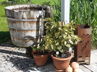 Holiday apartment Birke - Outdoor photo 5