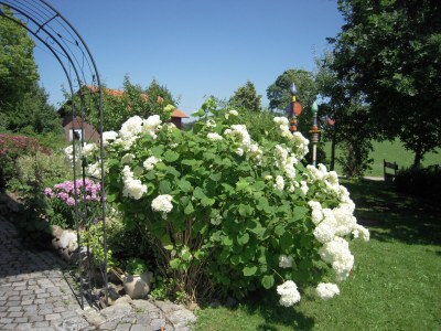 Holiday apartment Birke - Outdoor photo 6