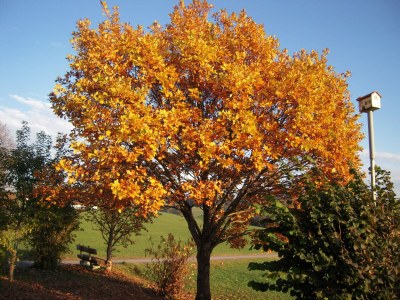 Holiday apartment Birke - Outdoor photo 7