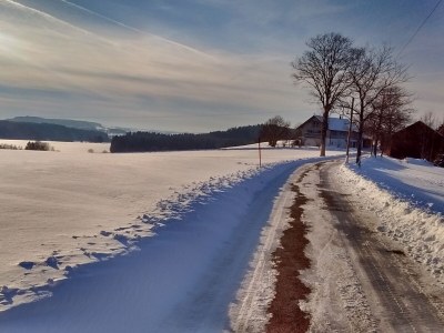Holiday apartment Birke - Outdoor photo 8