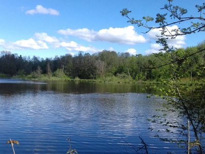 Holiday apartment Birke - Environment photo 29