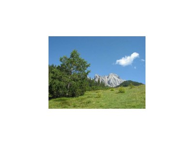 Apartment 2-4 Personenwohnung - Jakobskreuz - Outdoor photo 21