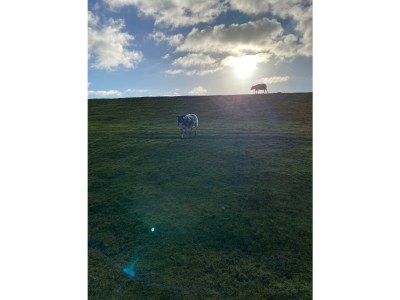 Holiday house Sea Time - Environment photo 26