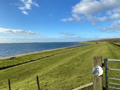 Holiday house Sea Time - Environment photo 28