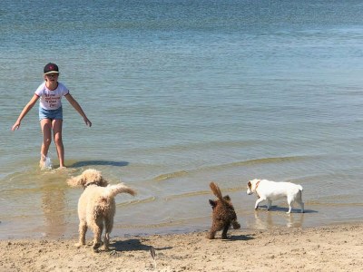 Holiday house The Waterfowl - Environment photo 33