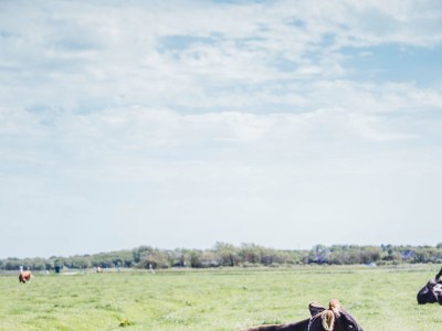 Villa Zeevonk - Environment photo 17