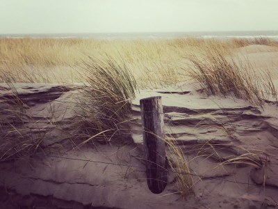 Villa Zeevonk - Environment photo 19